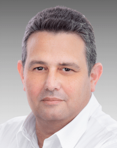 דן גינגיס