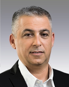 טל גולדשטיין  