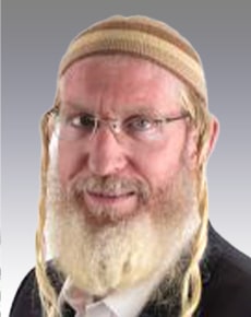 אלישי להב  